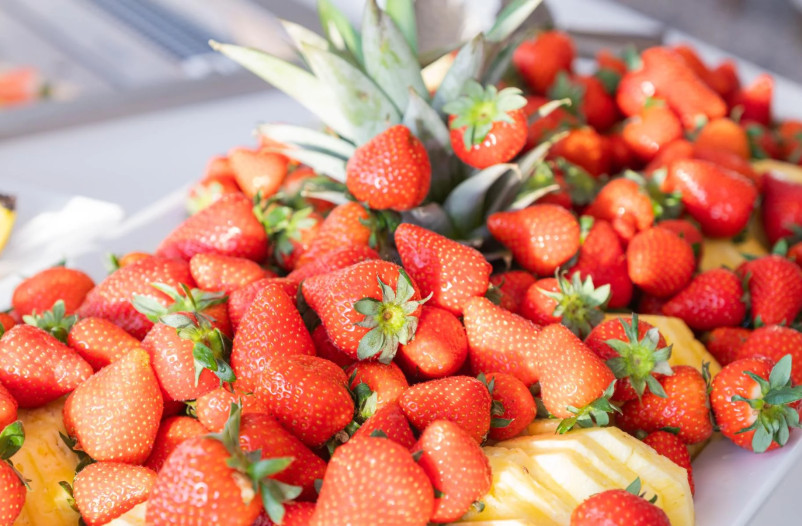 media.ALEXANDER24-47